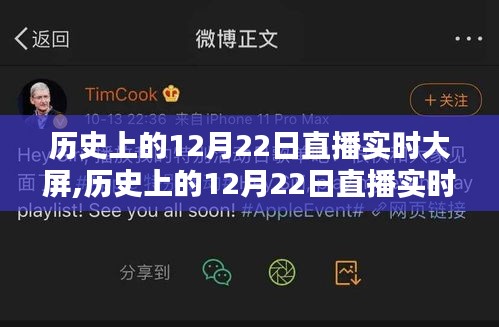 历史上的12月22日直播实时大屏详解与步骤指南