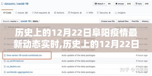 历史上的12月22日阜阳疫情动态实时更新与指南