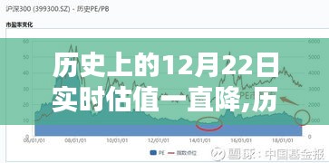 历史上的12月22日实时估值波动深度解析，趋势分析与挑战应对