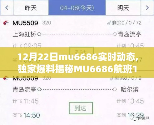 独家揭秘，MU6686航班12月22日实时动态全解析！