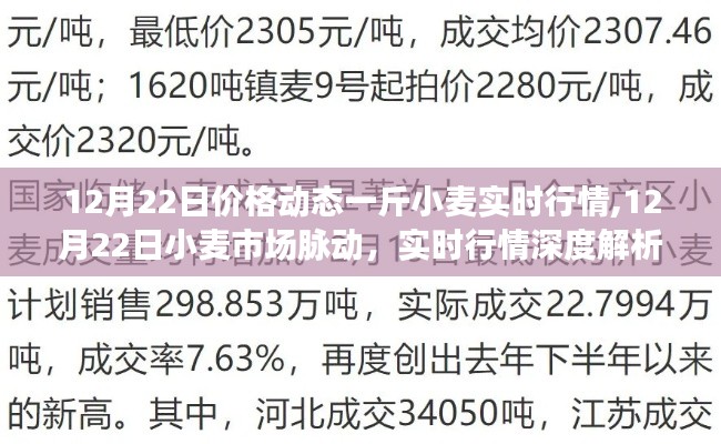 12月22日小麦市场实时行情深度解析与价格动态