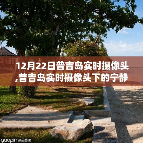 普吉岛实时摄像头，探寻自然美景，重拾内心平和的宁静之旅