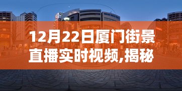 揭秘厦门冬日宝藏，街景直播探寻特色小店与小巷风情