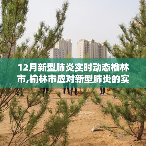 榆林市应对新型肺炎实时动态报告（十二月版，最新进展与应对策略）
