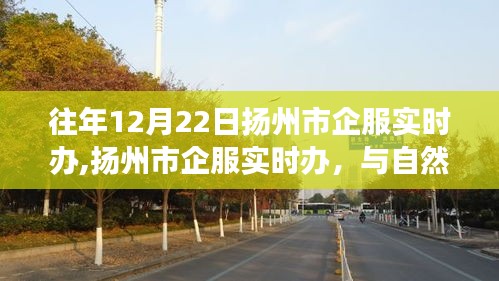 扬州市企服实时办，与自然美景的邂逅之旅纪实