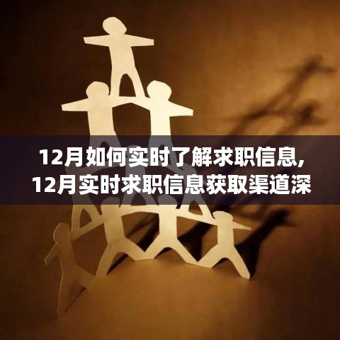 12月求职信息实时追踪指南，深度评测各大渠道特性、体验与竞争格局
