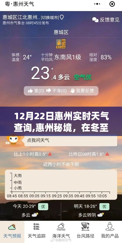 惠州秘境，冬至前夕的实时天气与自然美景的不期而遇