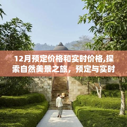 探索自然美景之旅，预定与实时价格的奇妙对比，寻找内心的平和宁静之旅