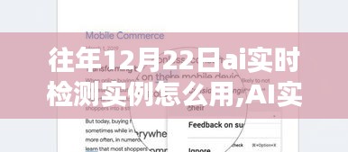AI实时检测智能监控，往年12月22日实例应用详解与如何利用进行智能监控