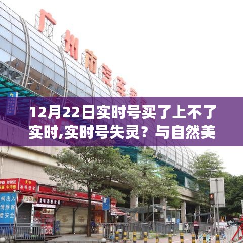 自然美景邂逅之旅，实时号失灵背后的内心宁静探寻