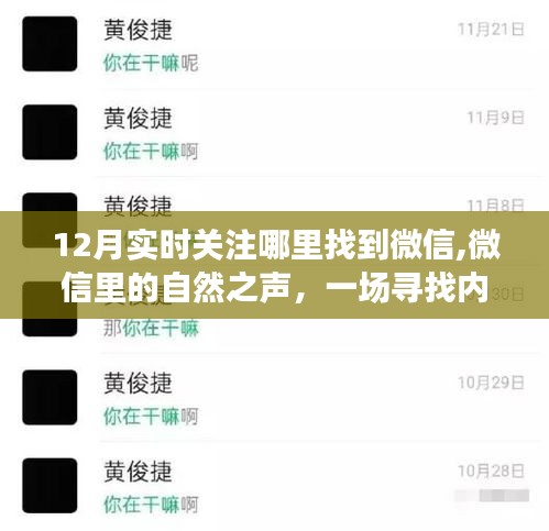 十二月微信自然之声，一场寻找内心平静的旅行记