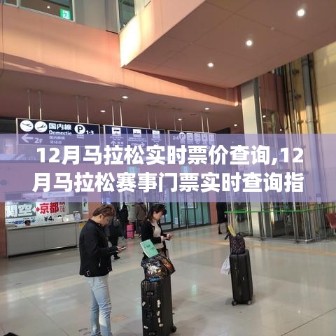 实时查询指南