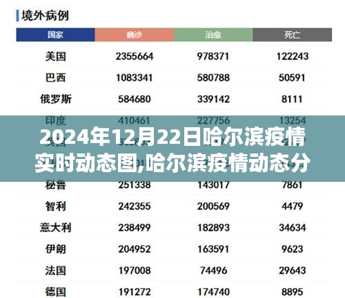 聚焦哈尔滨疫情实时动态，2024年12月22日数据解读与观点分析