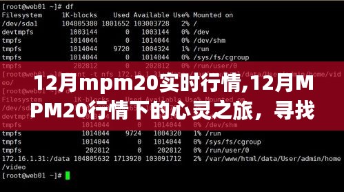 12月MPM20行情下的心灵之旅，探寻自然宝藏，重拾内心宁静实时报告
