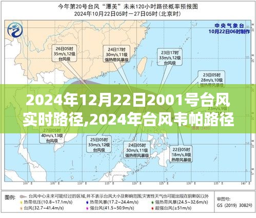 应对策略