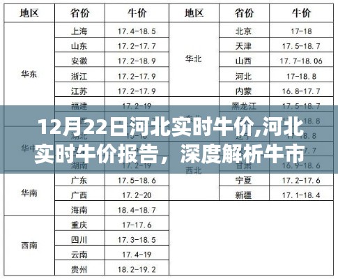 河北实时牛价报告，深度解析牛市场走势与影响因素（最新日期，12月22日）