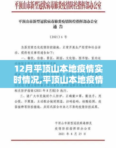 12月平顶山本地疫情实时详解与防控应对指南
