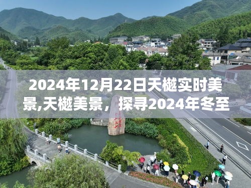探寻天樾美景的独特韵味，冬至之日的实时记录（2024年）