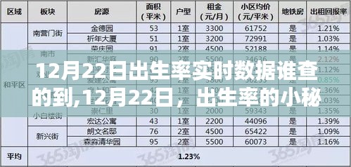 揭秘，12月22日出生率实时数据与家的温馨秘密