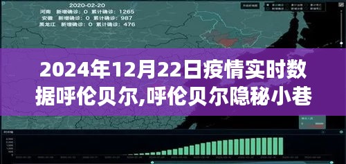 呼伦贝尔隐秘小巷与特色小店的抗疫故事与魅力，2024年疫情实时数据报告