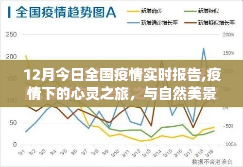 全国疫情实时报告，心灵与自然之旅，寻找内心宁静之地