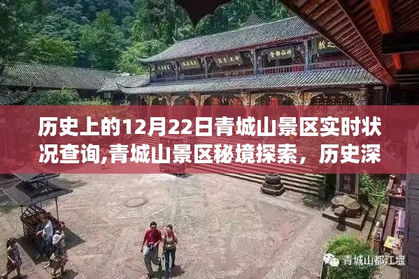 青城山景区秘境探索，历史深处的实时体验与美食奇缘的探寻之旅