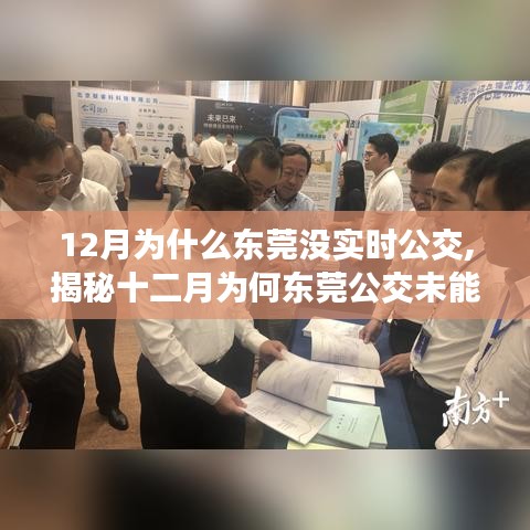 揭秘，为何东莞在12月未能实现公交实时信息同步？