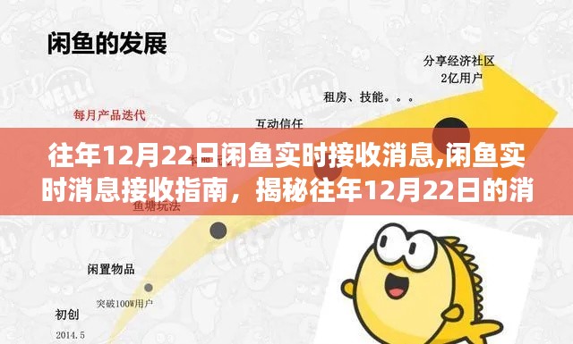闲鱼实时消息接收指南，揭秘往年12月22日信息传递机制与未来展望