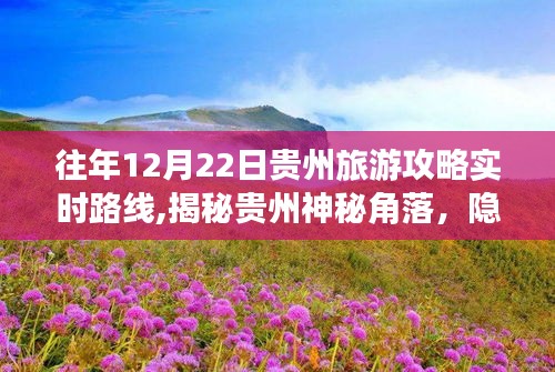 揭秘贵州神秘角落，12月22日实时路线攻略与隐藏美食体验之旅