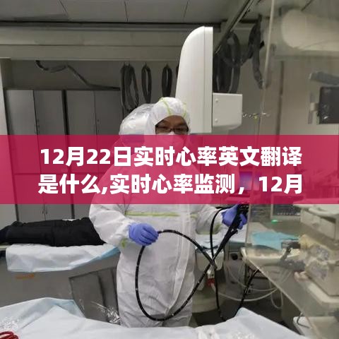12月22日实时心率监测功能深度评测，跟踪你的心跳
