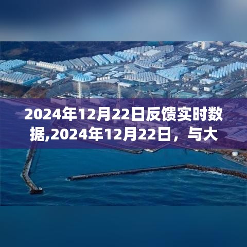 与大自然共舞的日子，寻找内心平静的奇妙旅行实时反馈报告