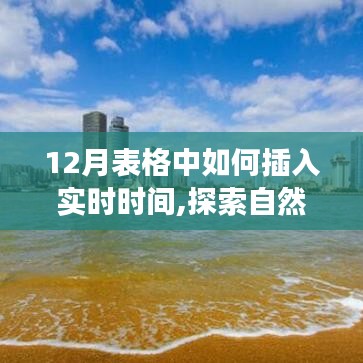 探索自然美景之旅，在12月表格中轻松插入实时时间，寻求内心的宁静与平和