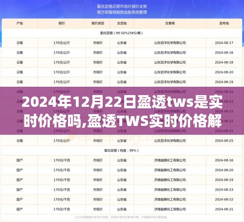 盈透TWS实时价格解析及交易新体验，聚焦2024年12月22日