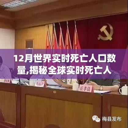 揭秘全球十二月实时死亡人口数据，如何准确获取与理解死亡人口数量变化？