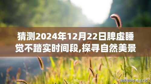 探寻心灵净土之旅，预测脾虚困扰下的静谧时光与远离尘嚣的自然美景猜想