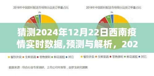 2024年12月22日西南疫情实时数据展望与解析，预测与未来趋势探讨