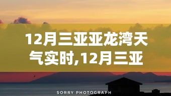 12月三亚亚龙湾天气实时分析与指南，天气预报及旅游建议