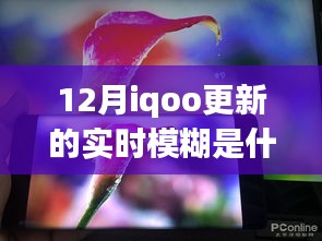 iQOO实时模糊更新探索自然美景之旅，当冬日的模糊遇上内心的宁静