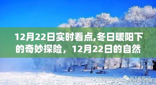 12月22日冬日暖阳下的自然美景探险之旅