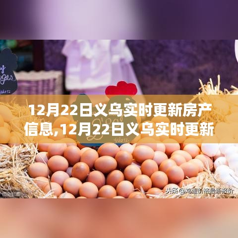 12月22日义乌房产信息实时更新，市场走势与多方观点解读