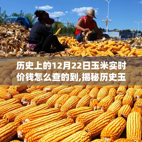 揭秘历史玉米实时价格走势，探寻数据背后的故事与查询方法，12月22日玉米实时价格回顾分析。