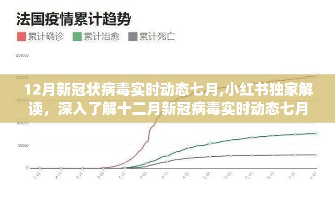 小红书独家解读，深入了解十二月新冠病毒实时动态七月概况