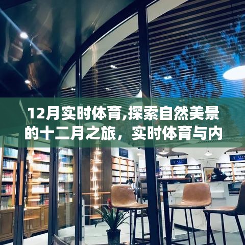 十二月实时体育与自然探索，心灵宁静之旅