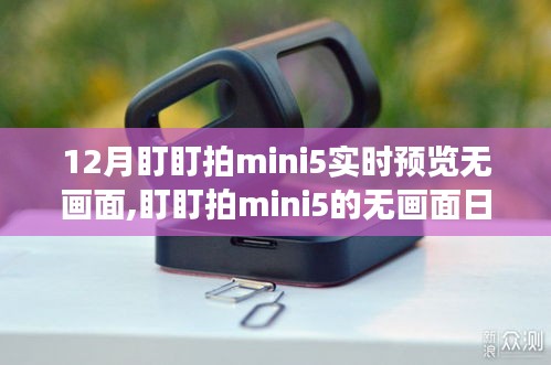 盯盯拍mini5冬日无画面问题解析，暖心冒险中的技术挑战