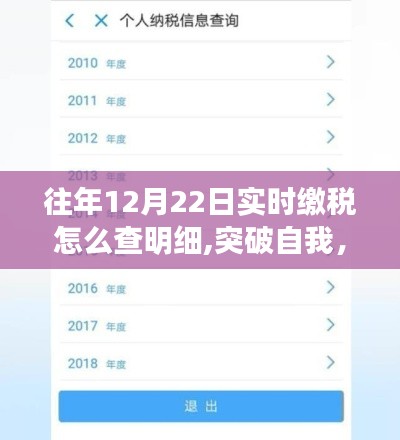 突破自我，实时缴税明细查询之旅，学习与变化的魔力探索