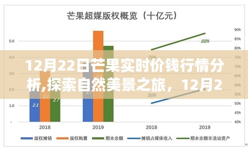 12月22日芒果实时行情分析，价格启示与心灵之旅的自然美景探索