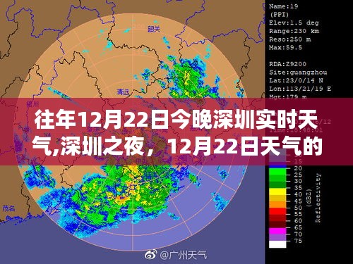 实时天气解析
