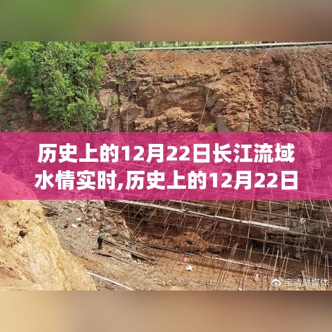 踊贵屦贱 第2页