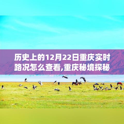 重庆秘境探秘，历史路况导航与心灵之旅——12月22日路况实时查看指南