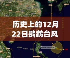 鹦鹉台风下的历史轨迹与心灵之旅，追寻自然魔力和内心宁静的奇妙旅程纪实